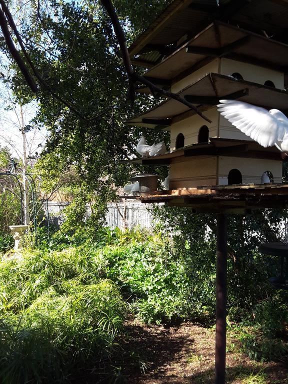 The Dove Cote Bed & Breakfast Tanunda Bagian luar foto