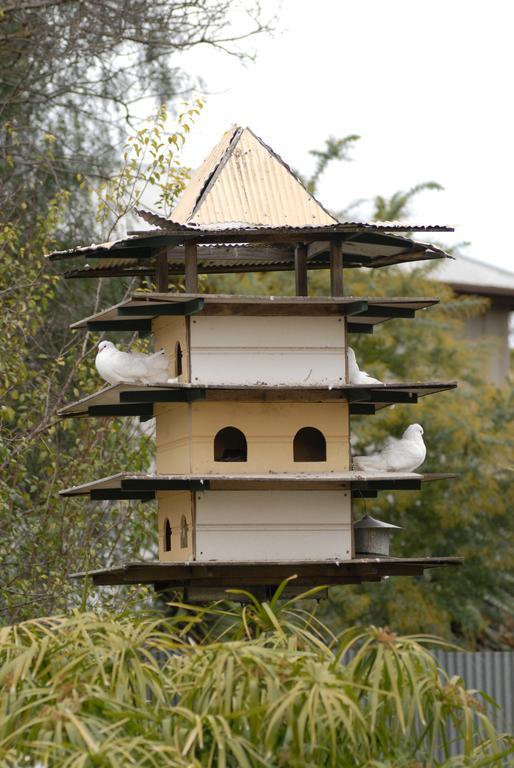 The Dove Cote Bed & Breakfast Tanunda Bagian luar foto