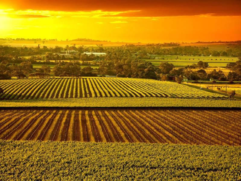 The Dove Cote Bed & Breakfast Tanunda Bagian luar foto